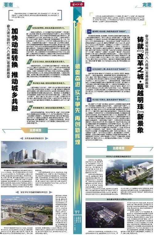 龙港最新爆料,揭秘神秘项目背后的惊人真相  第1张